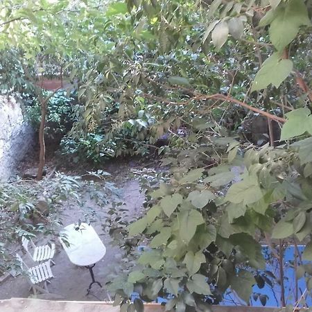 Appartement Centre Vue Jardin Narbonne Eksteriør billede